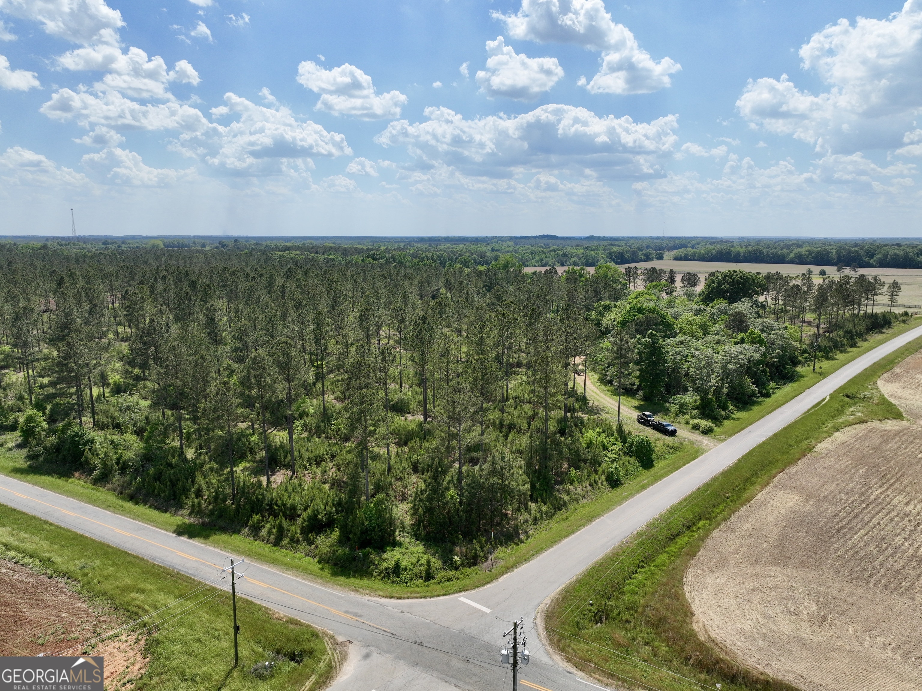 0 Poplar Springs Road Byromville, GA 31007 - Photo 15 of 36 Gallery Image 15