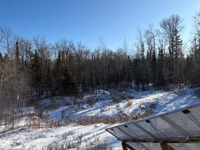 1152 Fernberg Road Ely, MN 55731 - Photo 14 of 24 Snowy view featuring a forest view