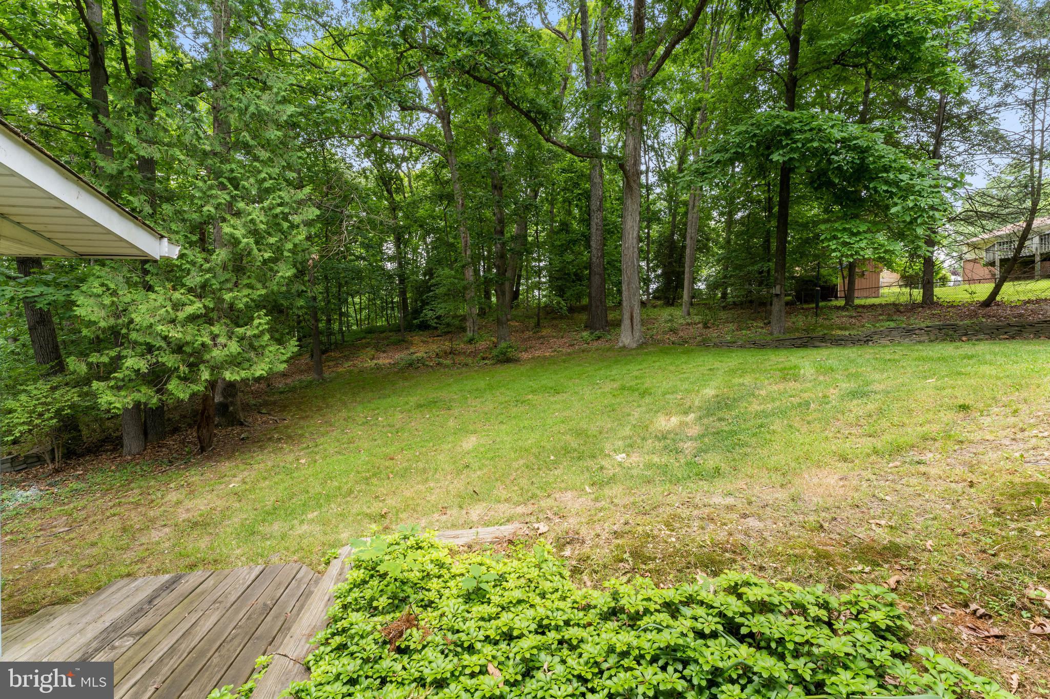 3904 Foreston Road Beltsville, MD 20705 - Photo 5 of 33 View of backyard from your new home