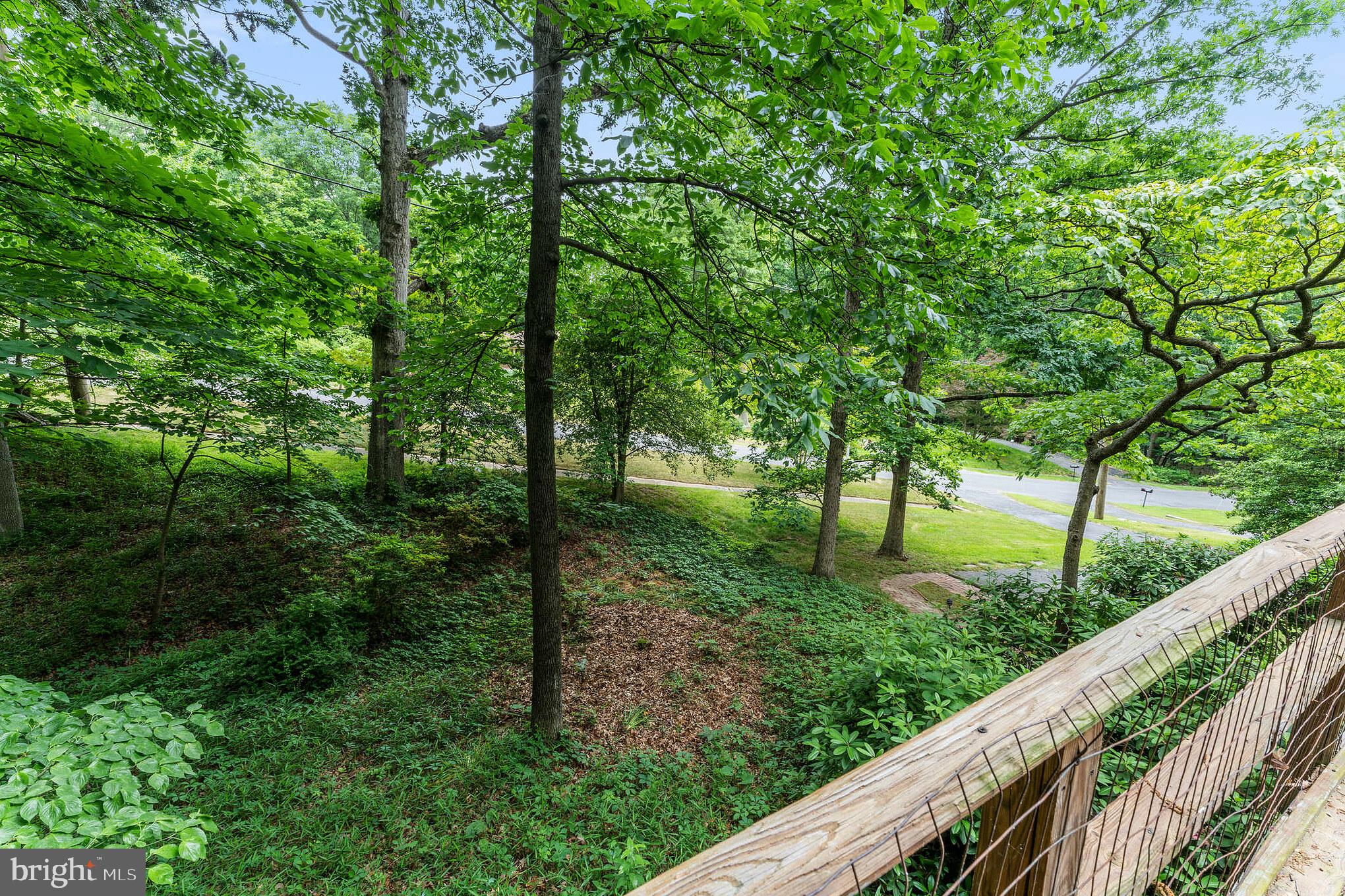 3904 Foreston Road Beltsville, MD 20705 - Photo 6 of 33 Abundant greenery from your front deck