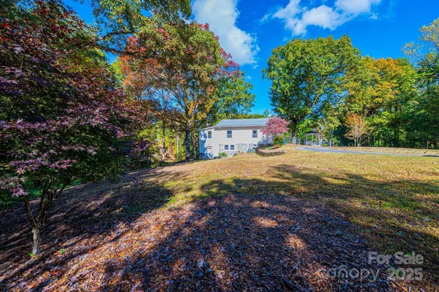 a view of backyard with large trees and flower plants