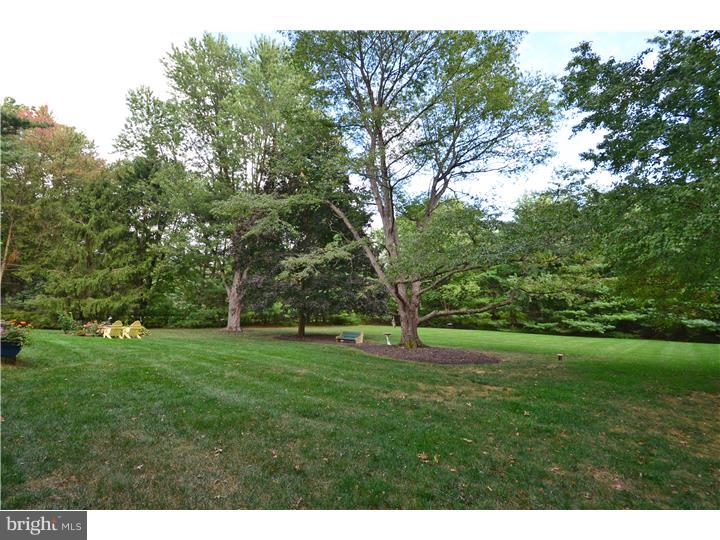 29 Pheasant Road Doylestown, PA 18901 - Photo 6 of 22 Back Yard