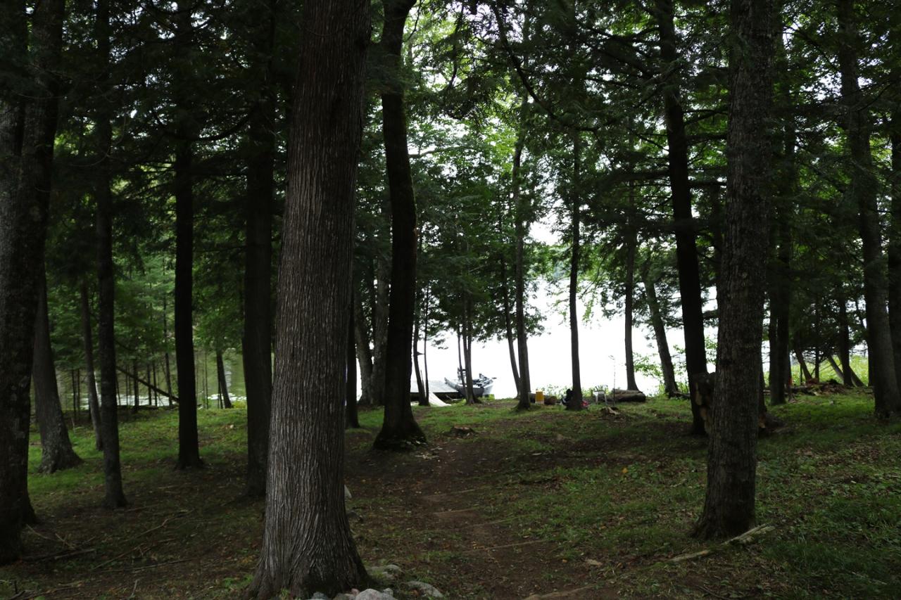 7143 East Fisher Lake Road Mercer, WI 54547 - Photo 16 of 32 Gallery Image 16