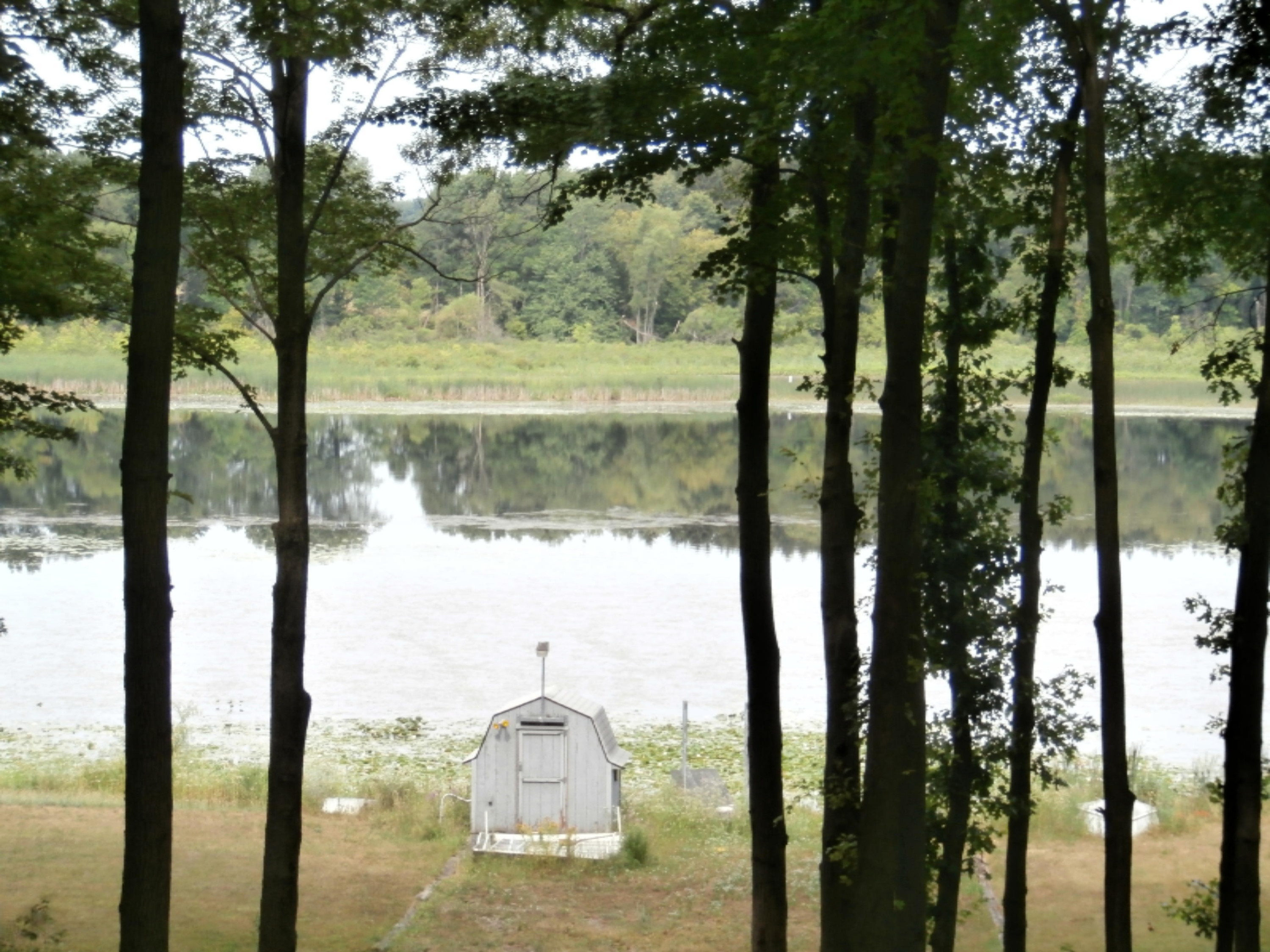 9554 Wilbur Lake Road Hanover, MI 49241 - Photo 23 of 28 9554 Wil (18)