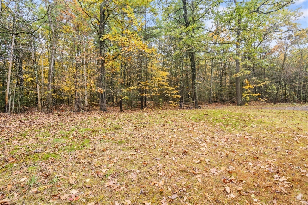 55 Putney Road Leverett, MA 01054 - Photo 35 of 40 a view of outdoor space with trees
