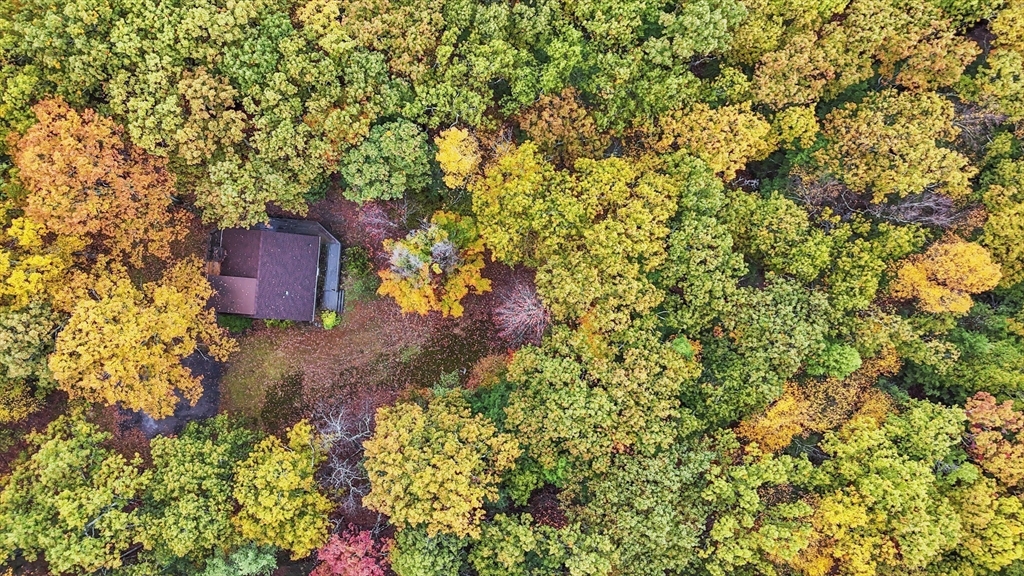 55 Putney Road Leverett, MA 01054 - Photo 39 of 40 view of a house with a yard and garden