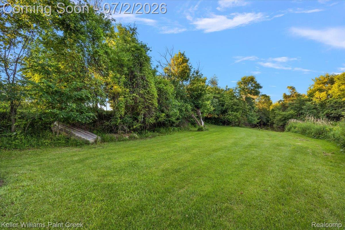 54230 Card Road Macomb, MI 48042 - Photo 19 of 73 Expansive grassy area bordered by dense foliage and mature trees