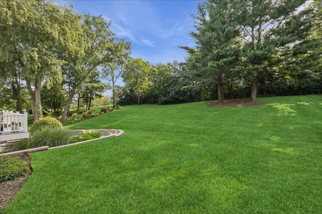 a view of a grassy field with trees
