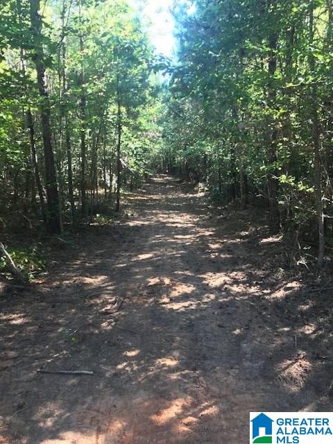 787 Bluff Valley Road, Unit 41 AC Cragford, AL 36255 - Photo 2 of 8
