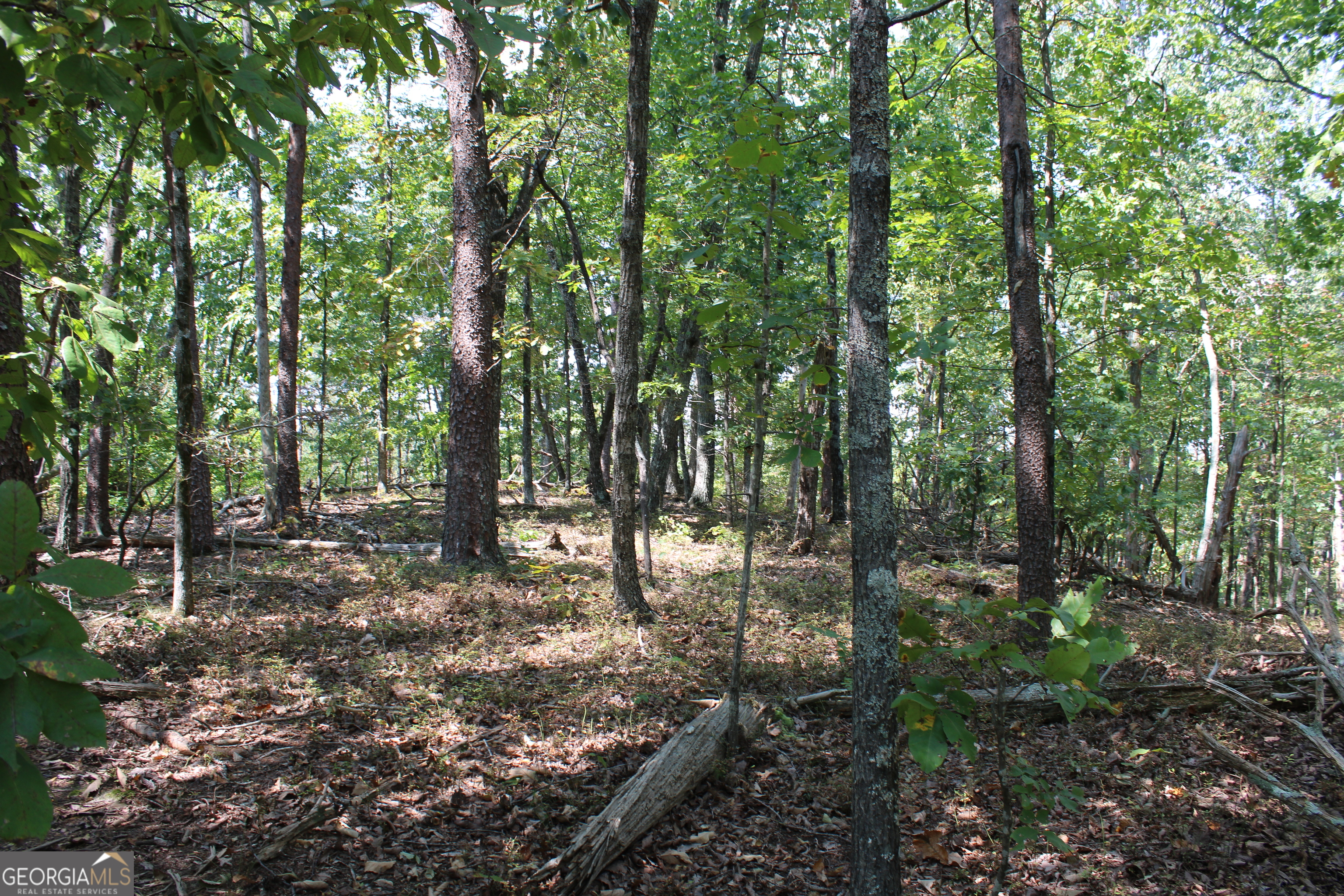 0 Conniston Road Chatsworth, GA 30705 - Photo 2 of 15 a backyard of a house with lots of green space
