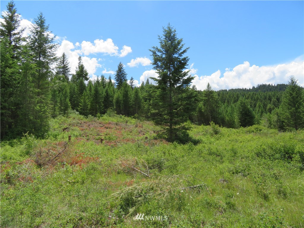 95 Douglas Road Curlew, WA 99118 - Photo 1 of 14 Gallery Image 1