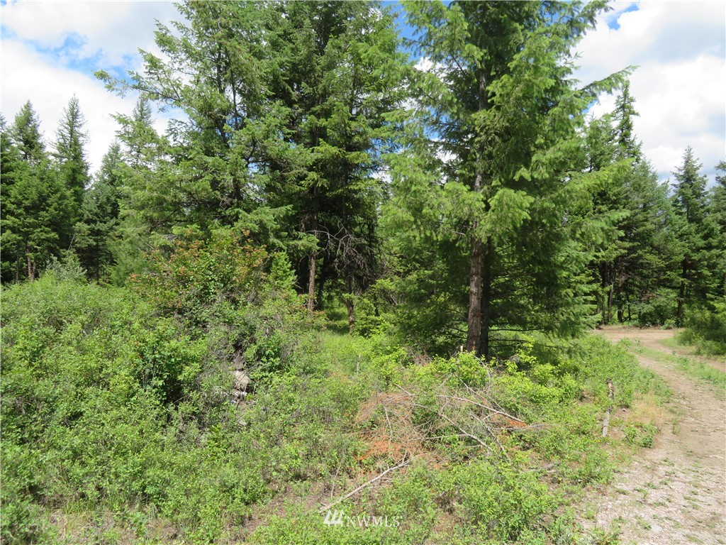 95 Douglas Road Curlew, WA 99118 - Photo 11 of 14 Gallery Image 11