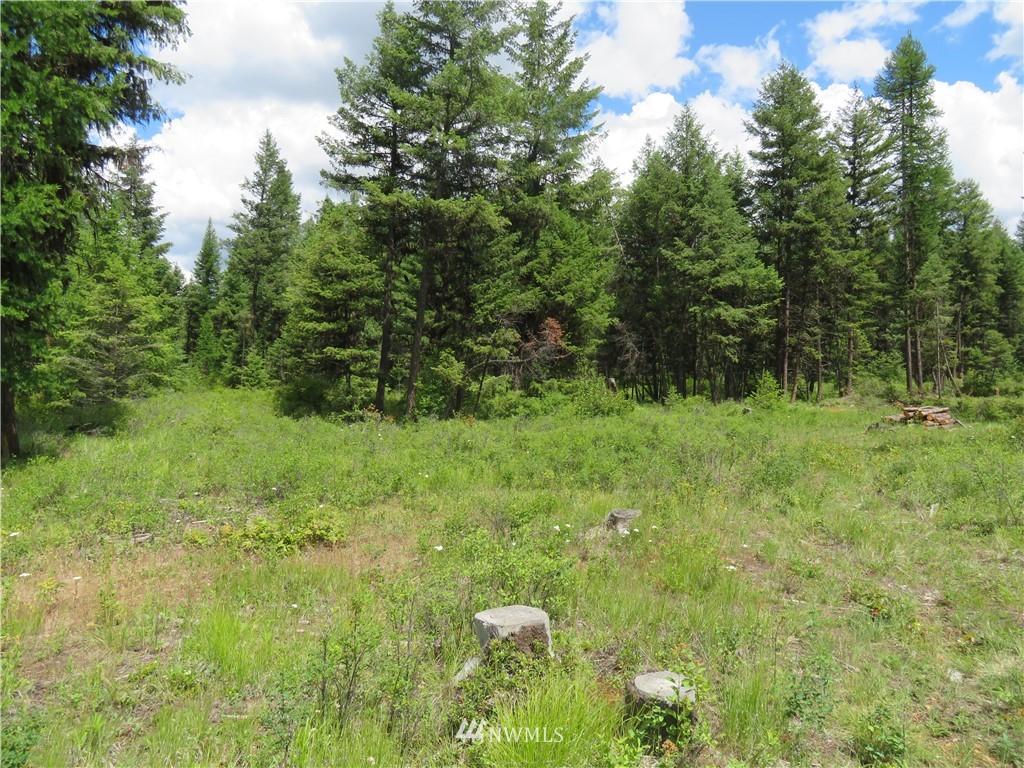 95 Douglas Road Curlew, WA 99118 - Photo 3 of 14 Gallery Image 3