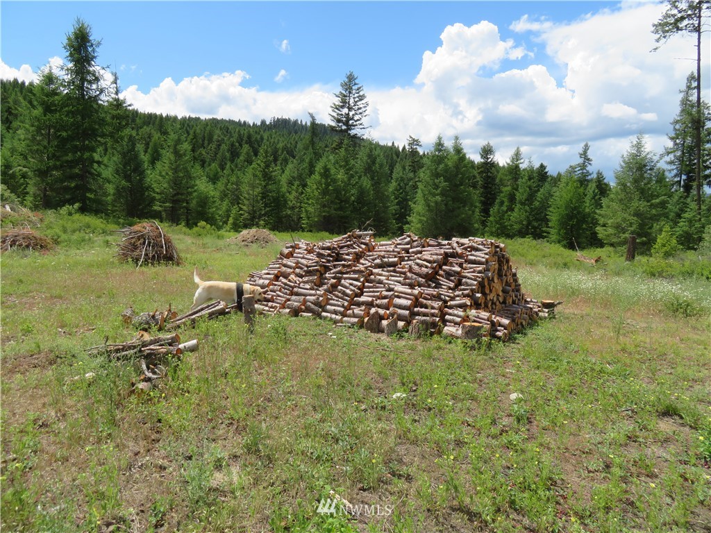 95 Douglas Road Curlew, WA 99118 - Photo 9 of 14 Gallery Image 9