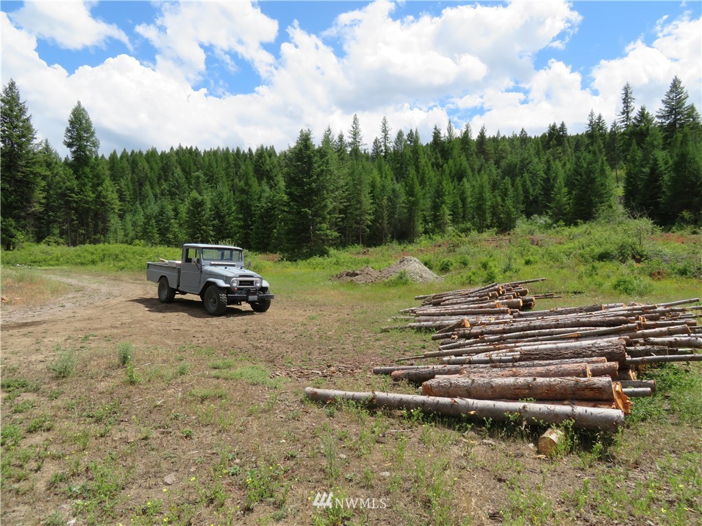 95 Douglas Road Curlew, WA 99118 - Photo 10 of 14 Gallery Image 10