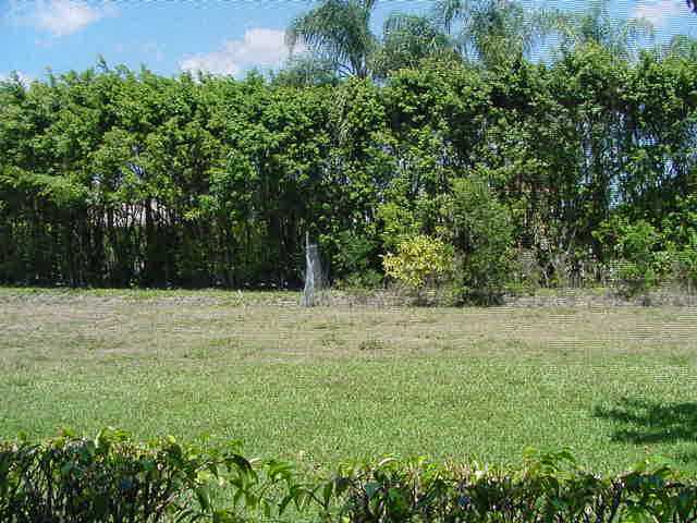 3299 Clint Moore Road, Unit 104 Boca Raton, FL 33496 - Photo 12 of 12 View
