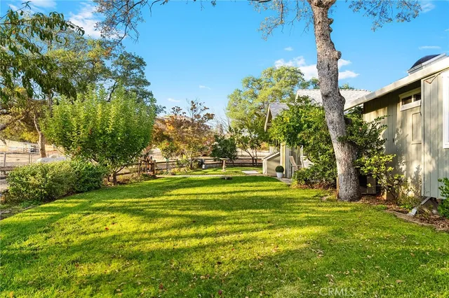 a backyard of a house with a tree