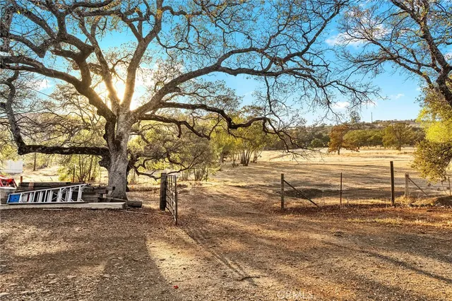 a view of a town with large trees