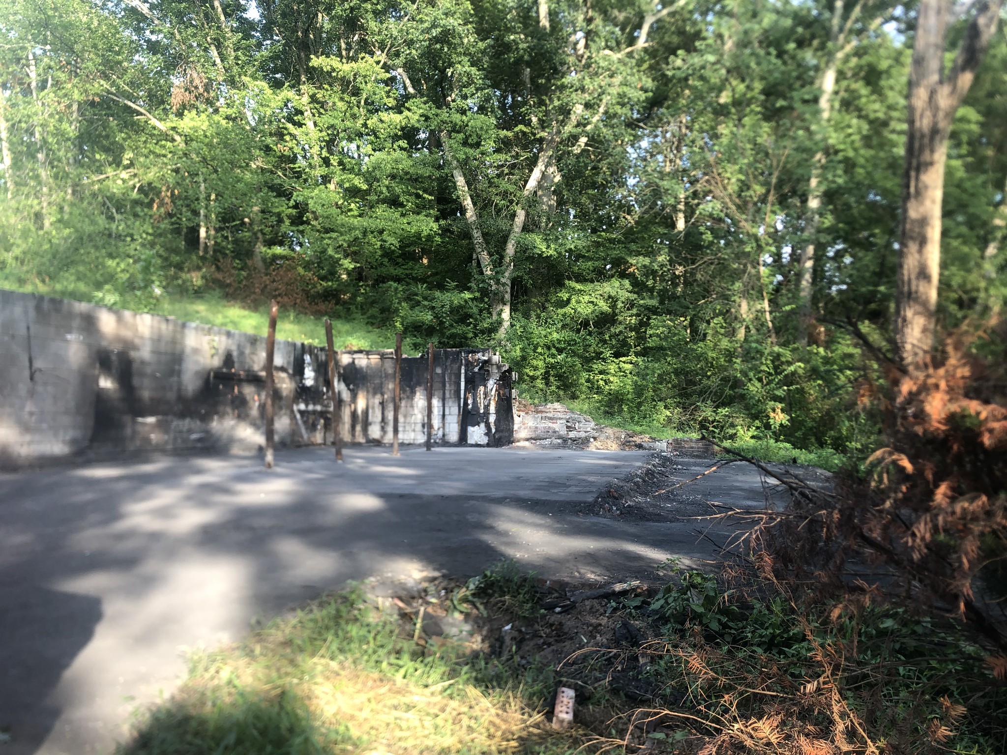 793 Spring Circle Springfield, TN 37172 - Photo 2 of 6 a view of a yard with plants and trees