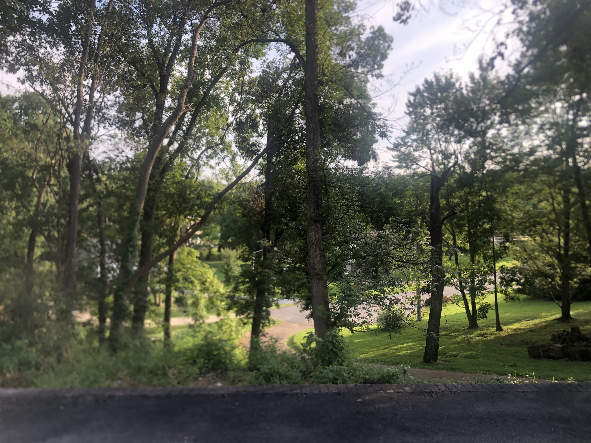 793 Spring Circle Springfield, TN 37172 - Photo 4 of 6 an outdoor space with lots of trees