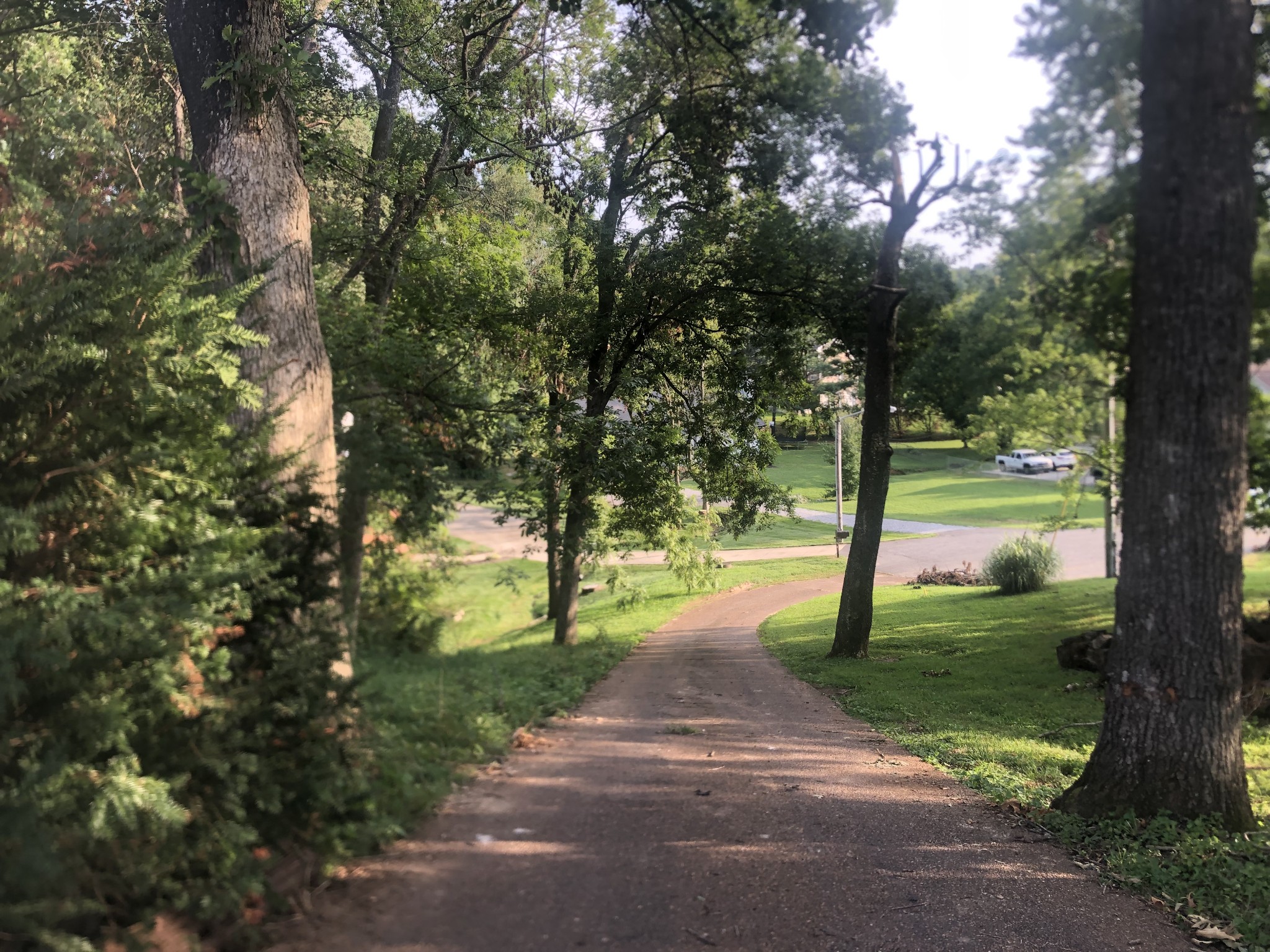 793 Spring Circle Springfield, TN 37172 - Photo 5 of 6 a park with full of palm trees