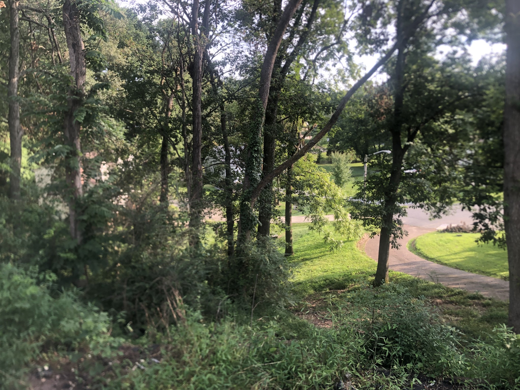 793 Spring Circle Springfield, TN 37172 - Photo 6 of 6 a view of outdoor space with trees all around