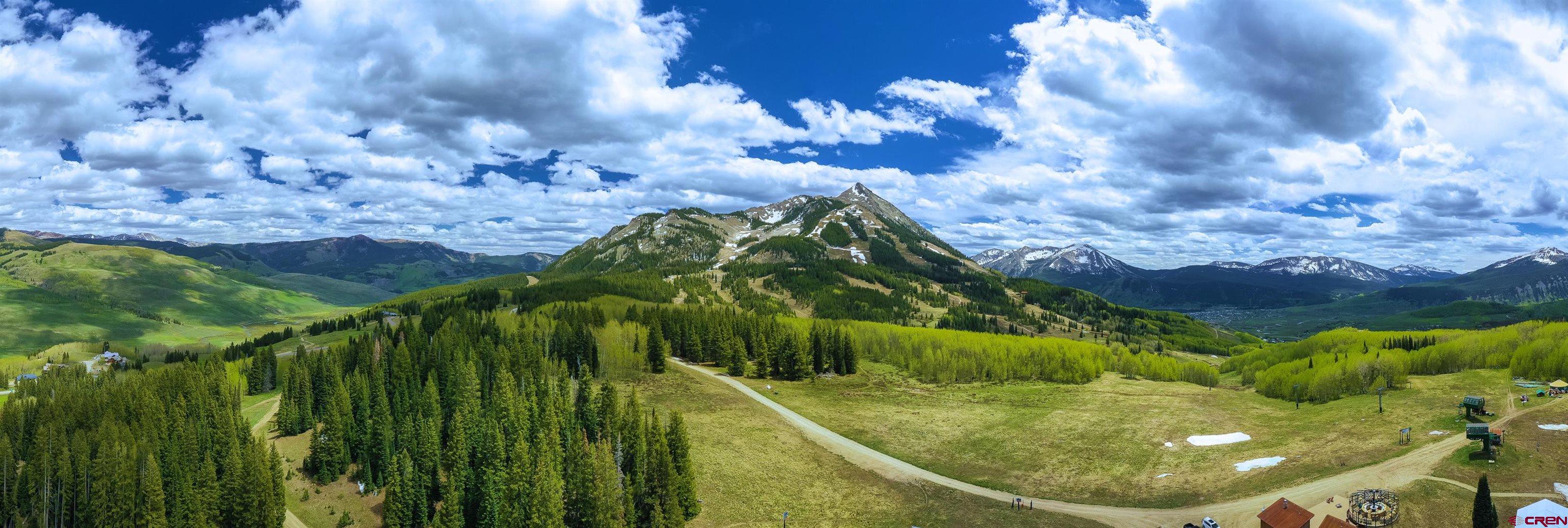 E31 Prospect Drive Crested Butte, CO 81225 - Photo 24 of 26 a view of a garden