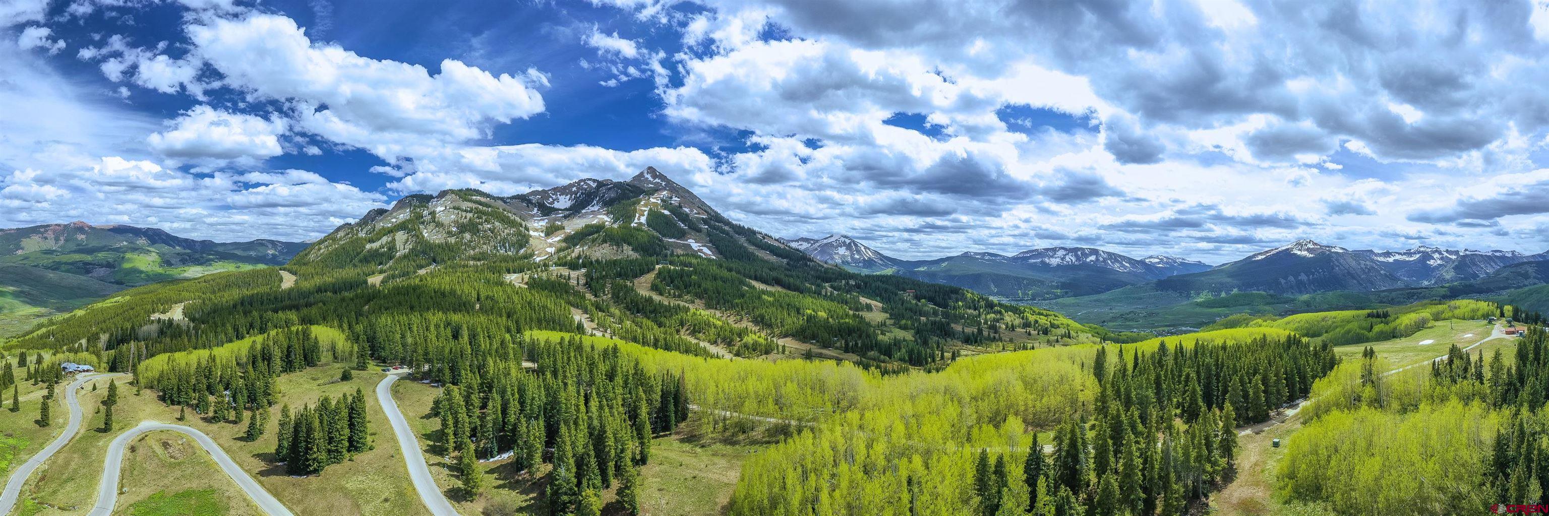 E31 Prospect Drive Crested Butte, CO 81225 - Photo 26 of 26 a view of a garden