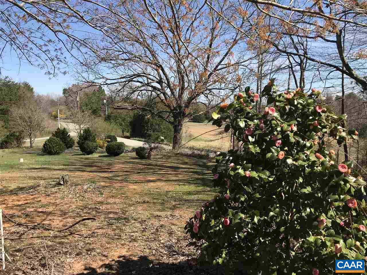 5428 Sugar Ridge Road Crozet, VA 22932 - Photo 8 of 19 a street view with large trees