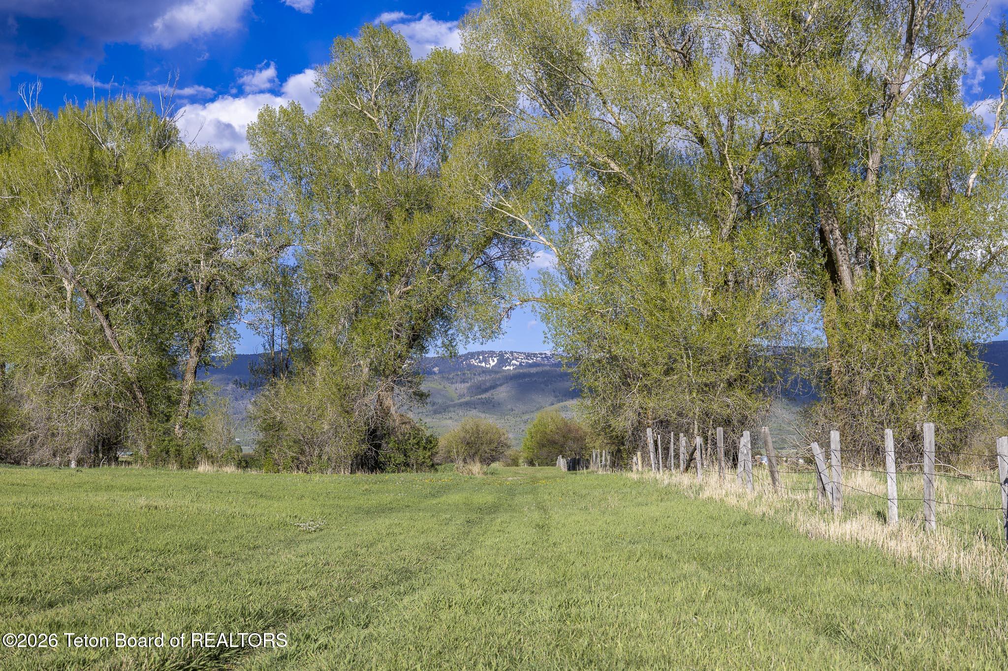 830 Gilroy Lane Driggs, ID 83422 - Photo 7 of 41 1M0A1856