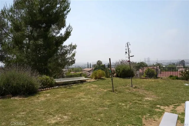 a view of a trees in a yard