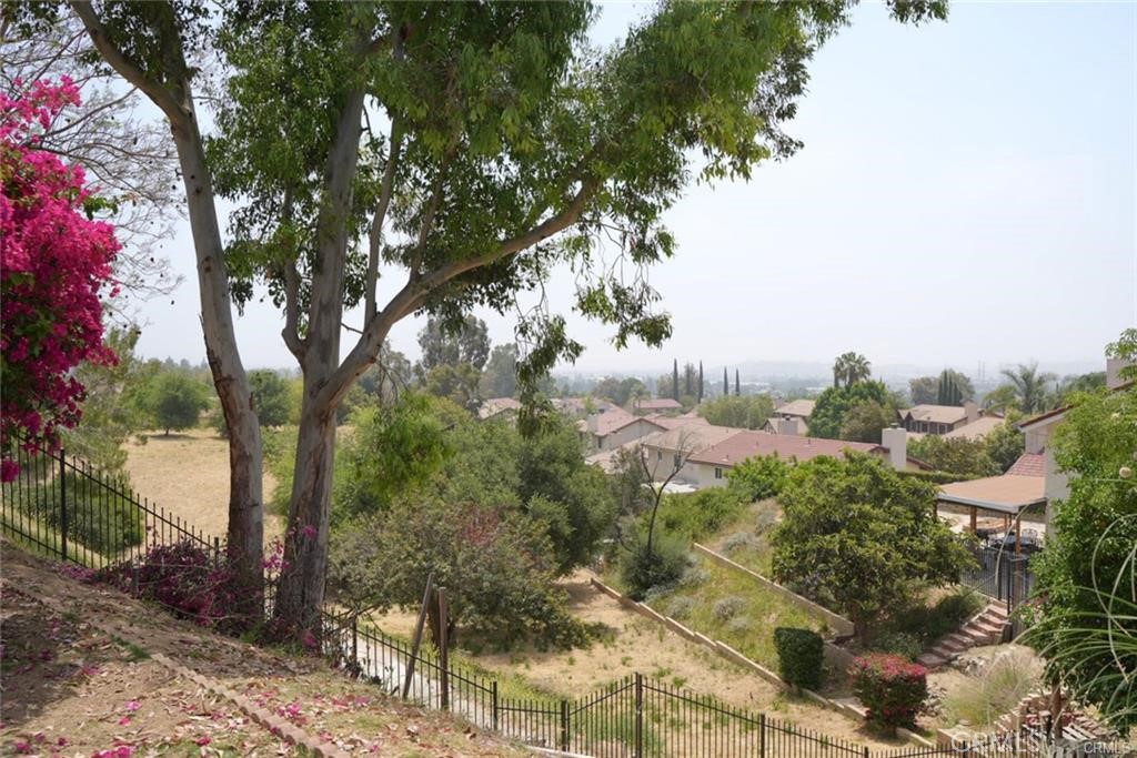 15980 Filbert Street Sylmar, CA 91342 - Photo 15 of 17 a view of a trees in a yard
