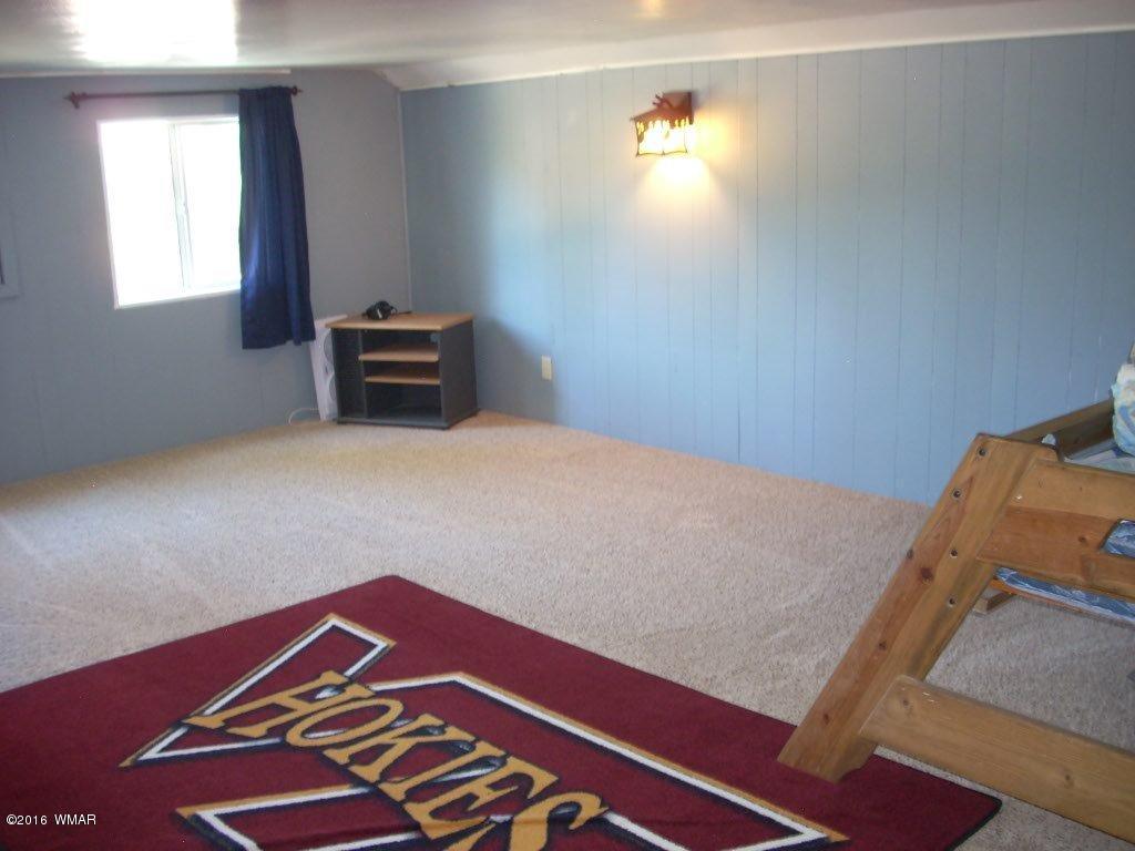 2880 Belle Road Overgaard, AZ 85933 - Photo 25 of 29