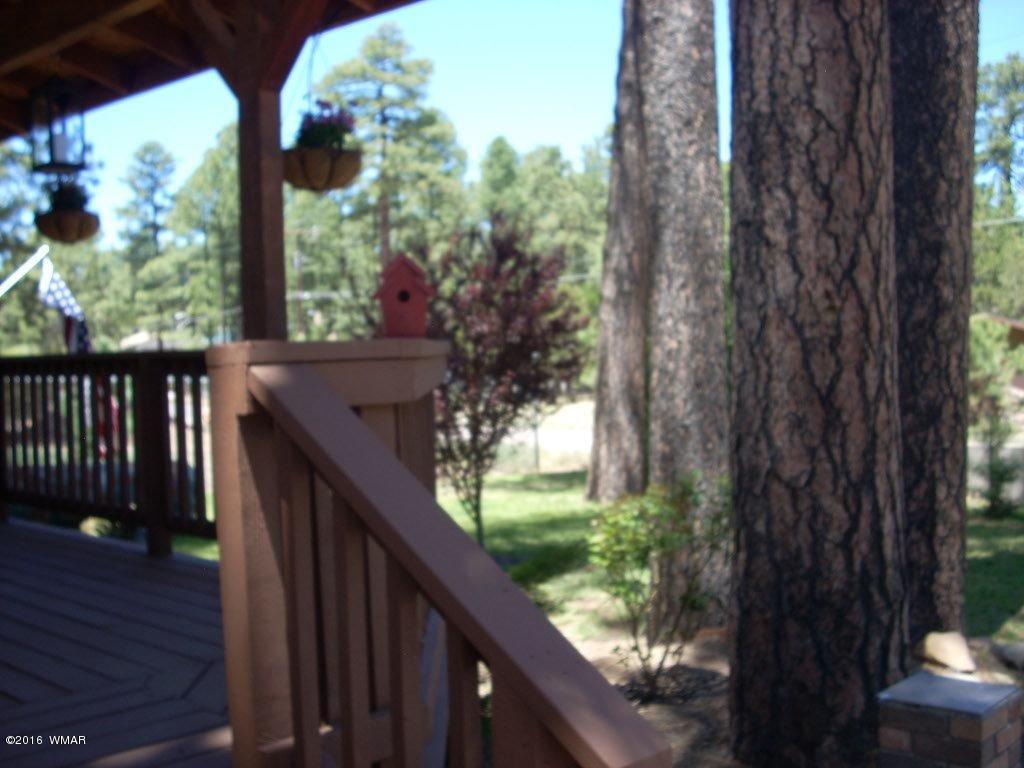 2880 Belle Road Overgaard, AZ 85933 - Photo 6 of 29