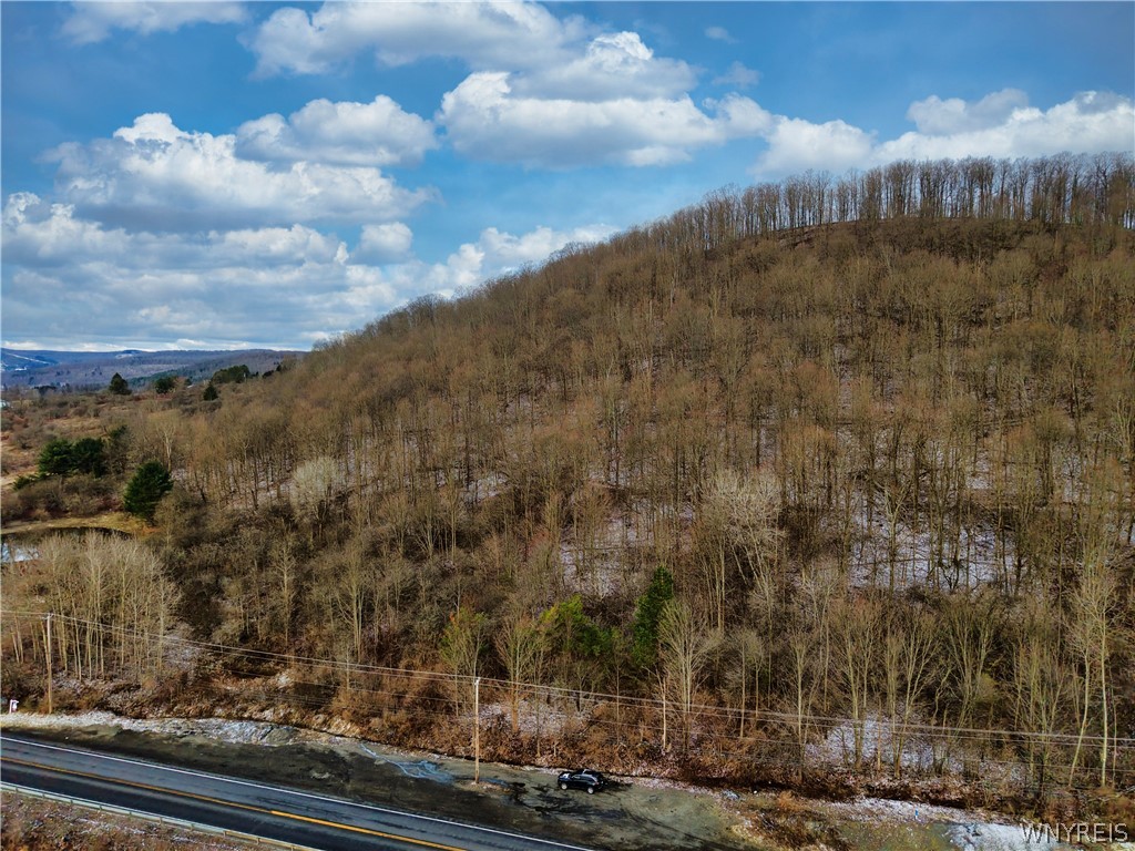6020 Nys Route Ellicottville, NY 14731 - Photo 3 of 5