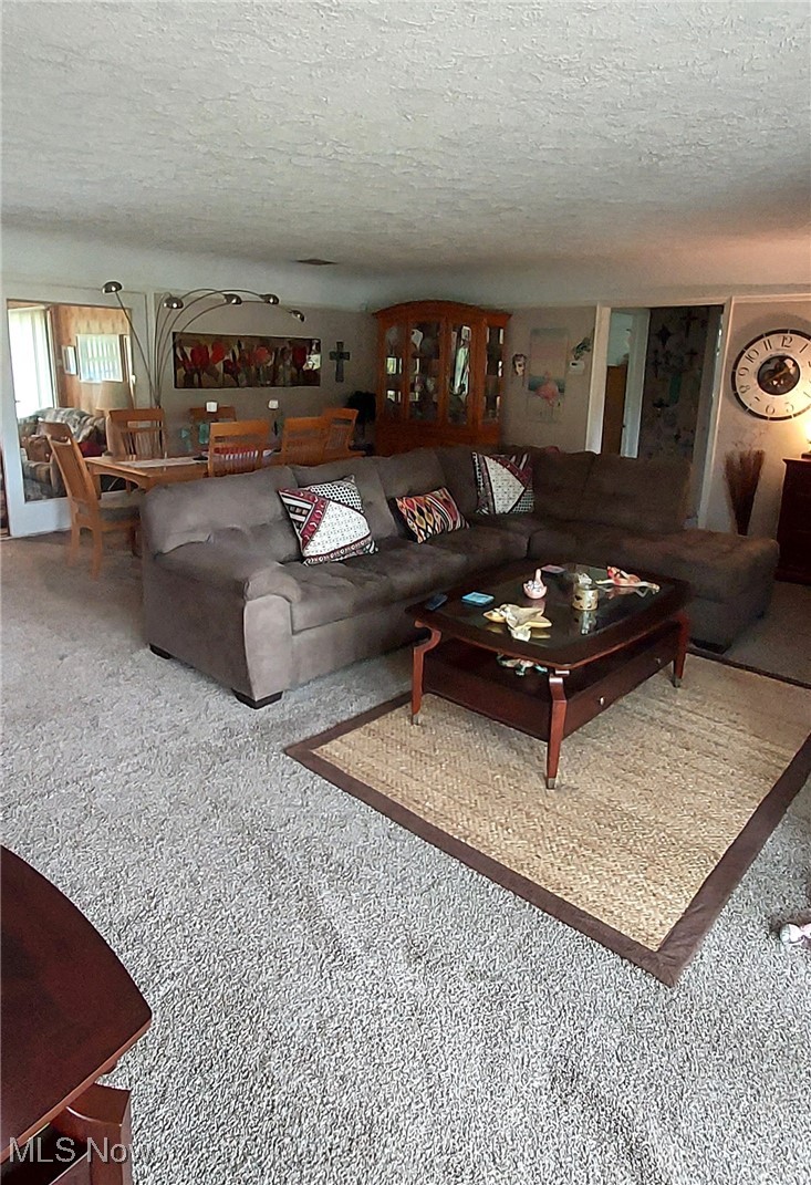 550 East Pleasant Valley Road Independence, OH 44131 - Photo 7 of 29 Living room/dining room combo