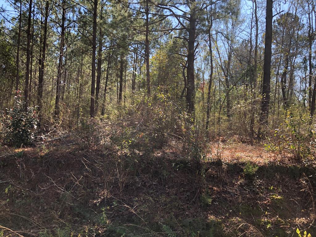 Lot 4 Rowland Road Dothan, AL 36301 - Photo 1 of 1