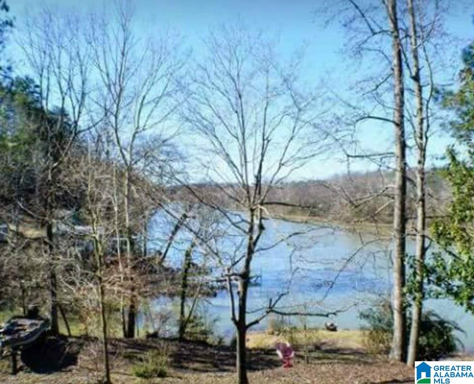 2750 Underwood Ferry Road Quinton, AL 35130 - Photo 2 of 17