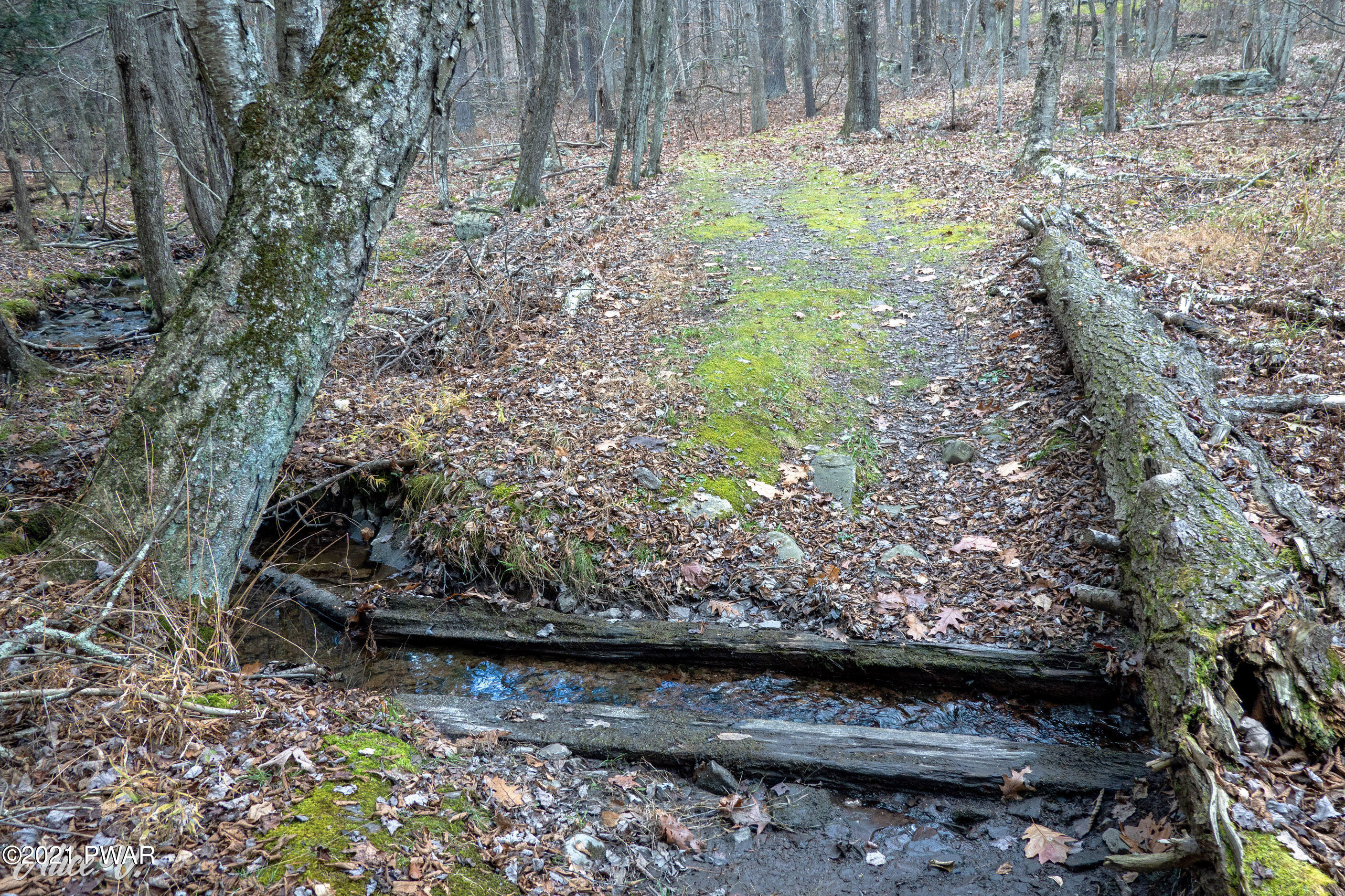 Lot 3 Hidden Hollow Road Hawley, PA 18428 - Photo 11 of 26
