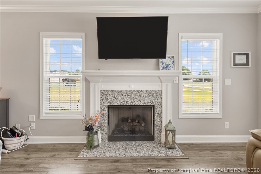 137 Minter School Road Sanford, NC 27332 - Photo 16 of 50 a living room with a fireplace and a flat screen tv