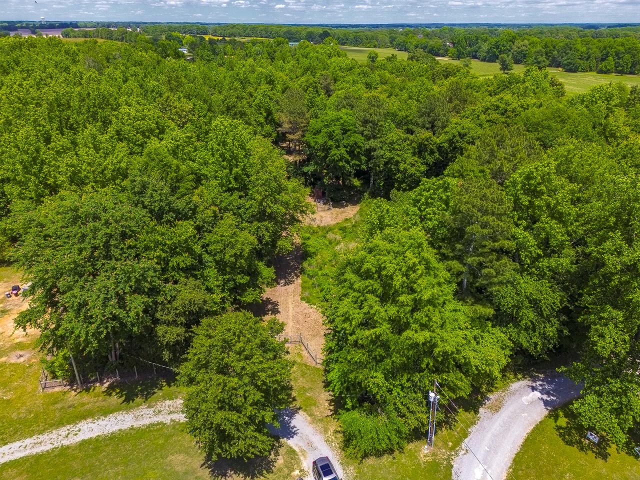 23 Grassy Branch Road Flintville, TN 37335 - Photo 11 of 24 a view of a yard with plants and large trees
