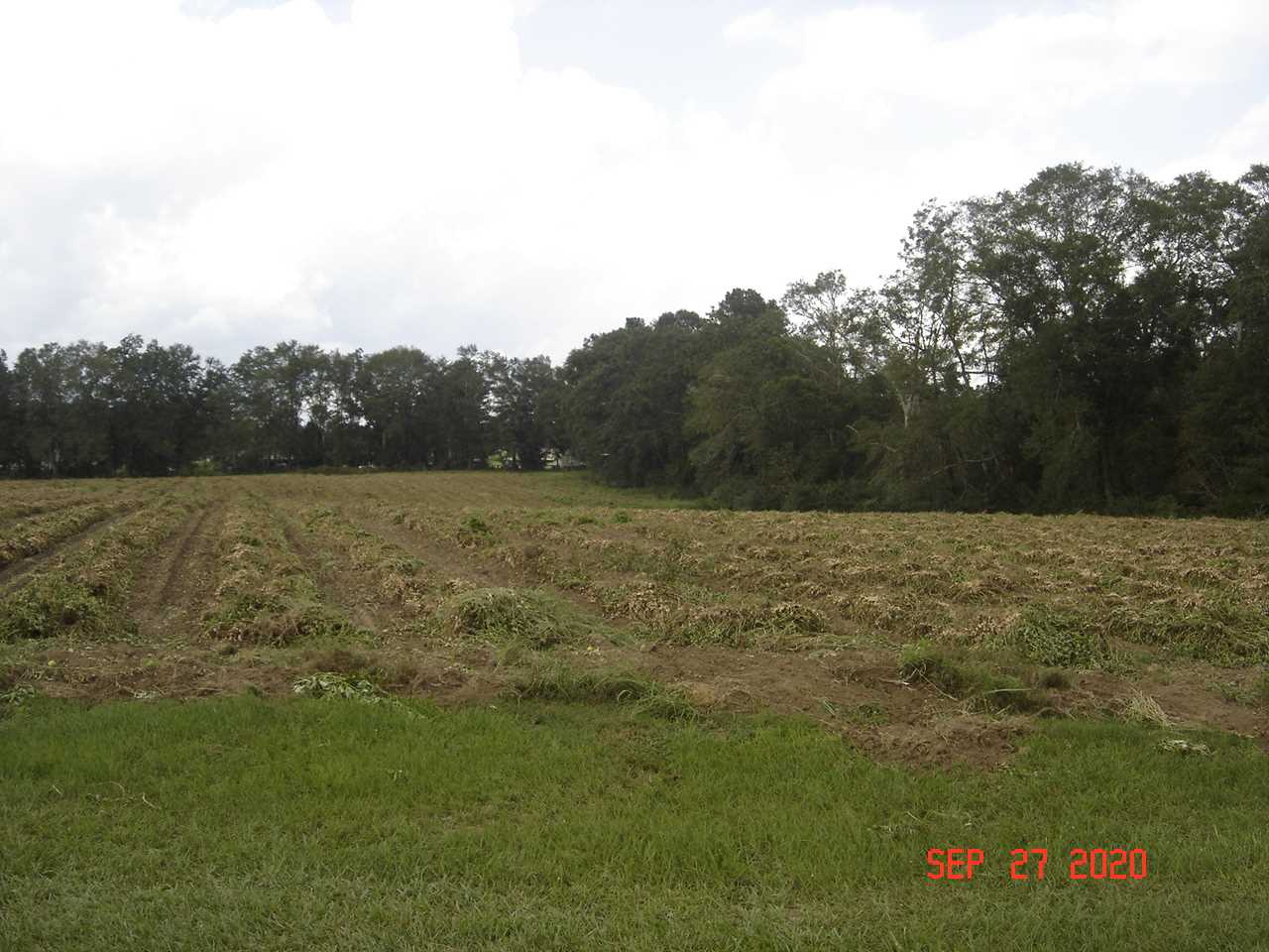 49-acres - Messick Loop Andalusia, AL 36421 - Photo 25 of 30 Gallery Image 25