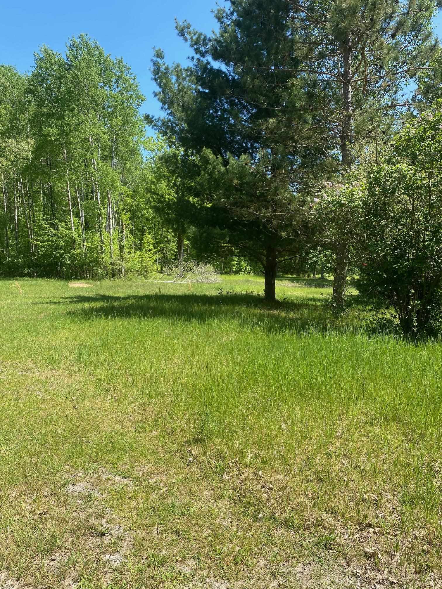 3302 Dana Road Coleman, MI 48618 - Photo 49 of 50