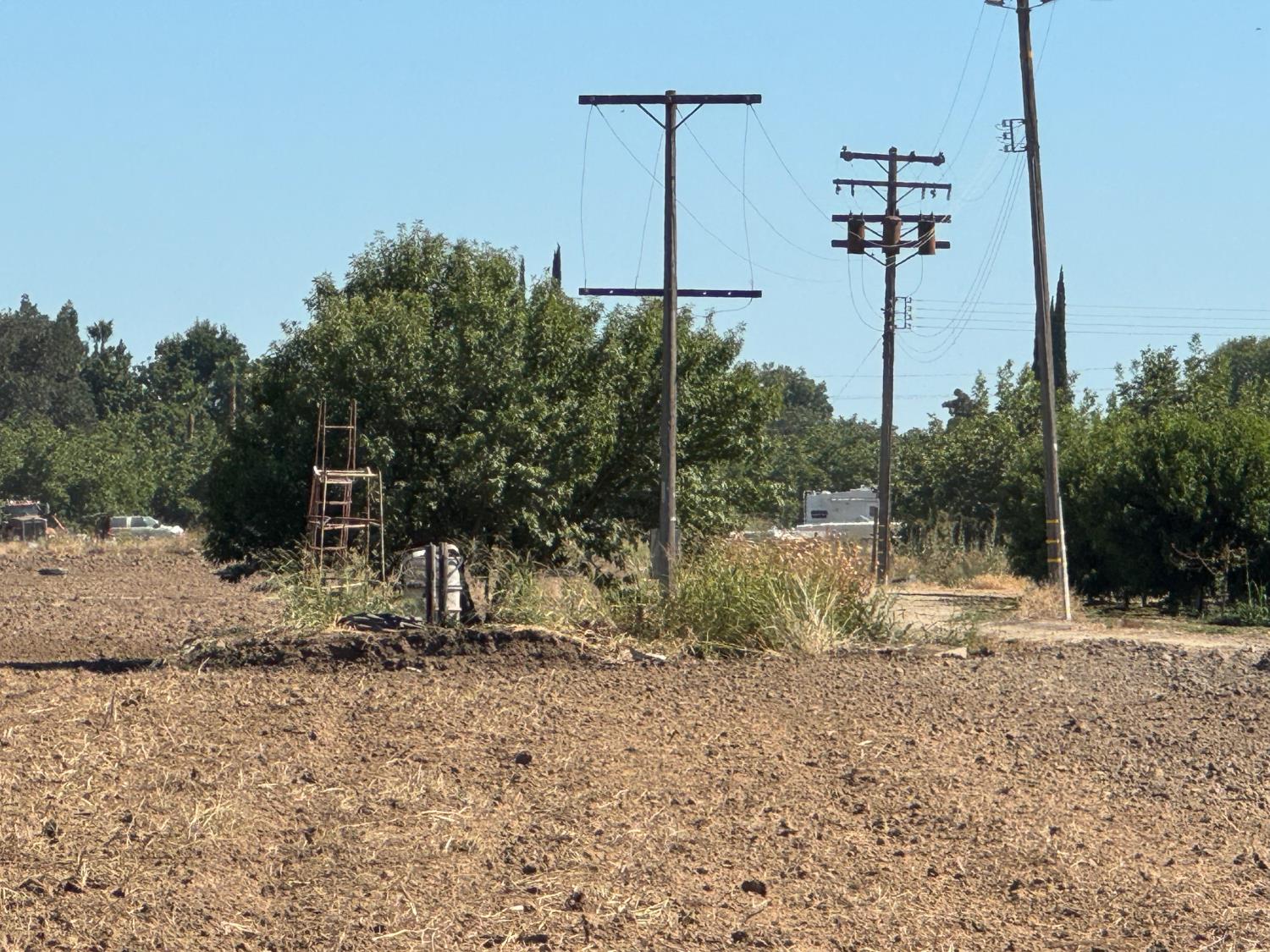 0 Barry Road Yuba City, CA 95993 - Photo 5 of 5 a view of a yard with a tree