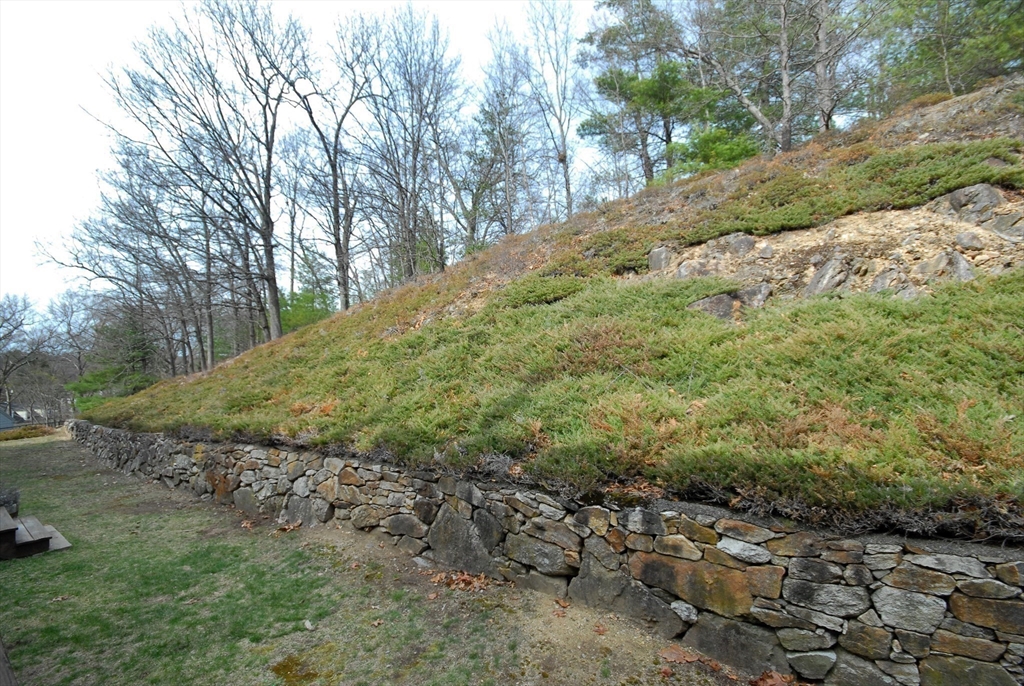 12 Oak Ridge Drive, Unit 4 Maynard, MA 01754 - Photo 31 of 36 a view of a yard with a tree