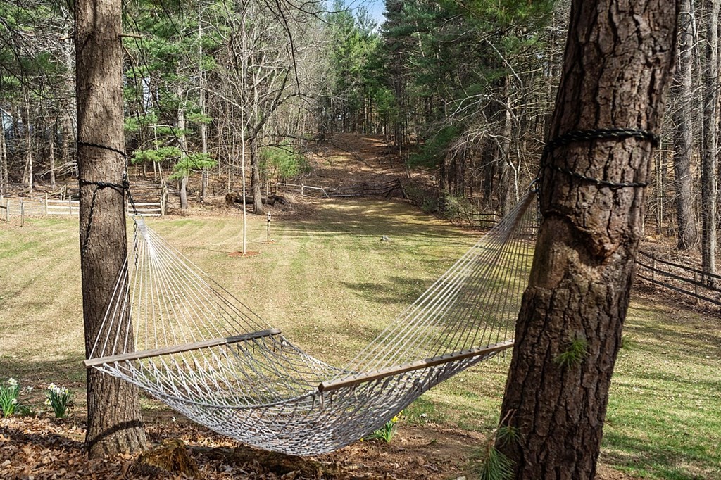 89 Sampson Road Bolton, MA 01740 - Photo 3 of 34