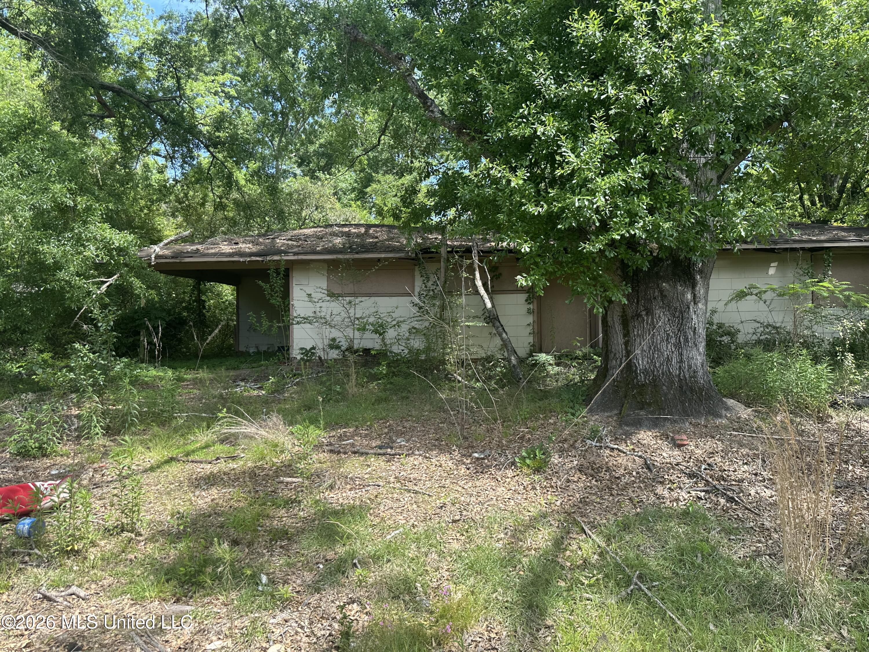 3236 Corey Drive Jackson, MS 39212 - Photo 3 of 4 IMG_3662
