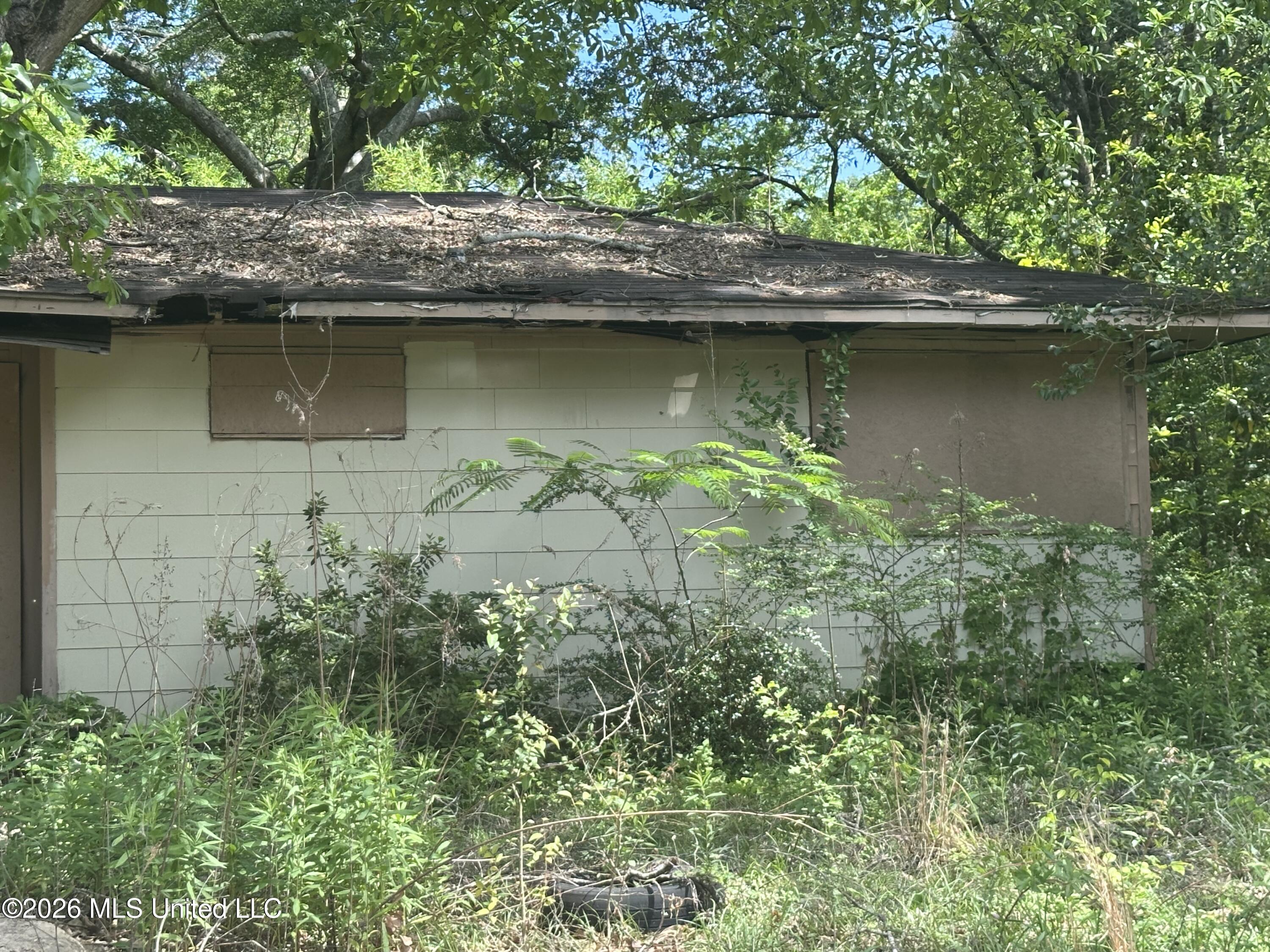 3236 Corey Drive Jackson, MS 39212 - Photo 4 of 4 IMG_3665