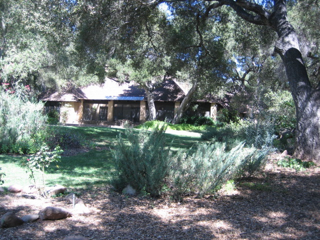 a view of a house with a yard and plants