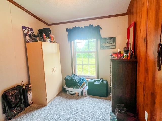 5495 West Clarence Road Harrison, MI 48625 - Photo 13 of 44